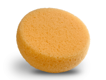 Foam  Hydra  Sponge Applicator  Paradise High Density Sponge (121) Cheap