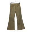 KAPITAL Straight Pants 29 Cotton GRN  Online Sale